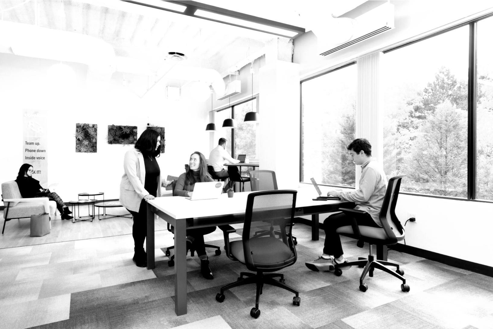 Workshop participants engaged in a business communication session